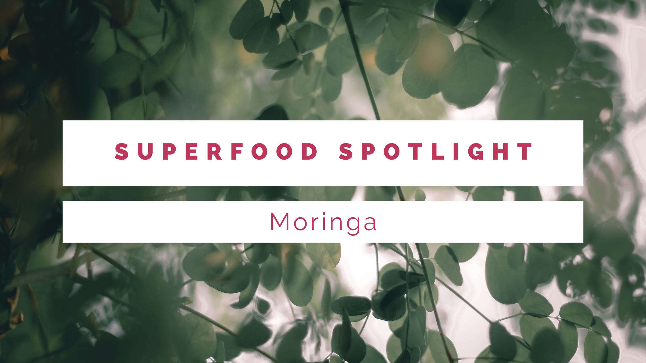 MORINGA